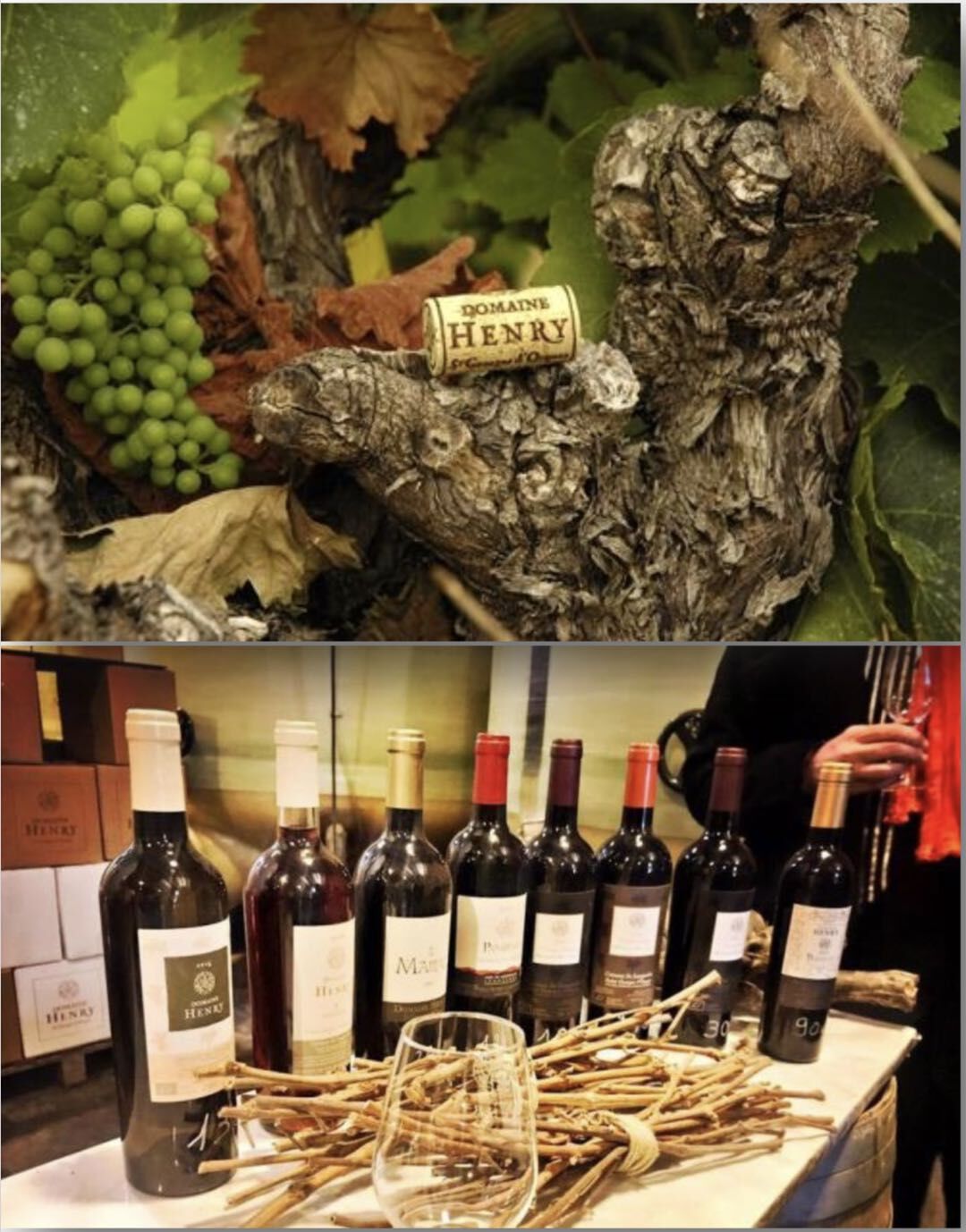 2020成都國際友城音樂周邛崍大梁酒莊專場8月29日晚浪漫啟幕