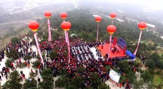 犍為柑橘紅滿天 柑橘文化旅游節(jié)承載美好鄉(xiāng)村新未來(lái)